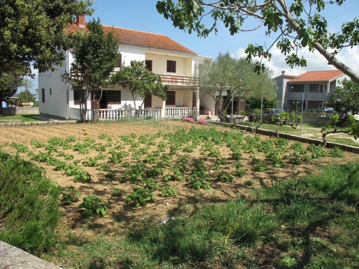 Dede Apartment